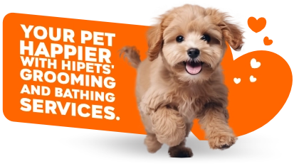 grooming pet belmont