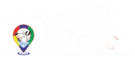 Hipets – Salon Grooming – Mobile Service